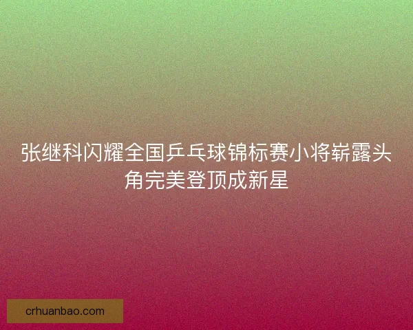 张继科闪耀全国乒乓球锦标赛小将崭露头角完美登顶成新星